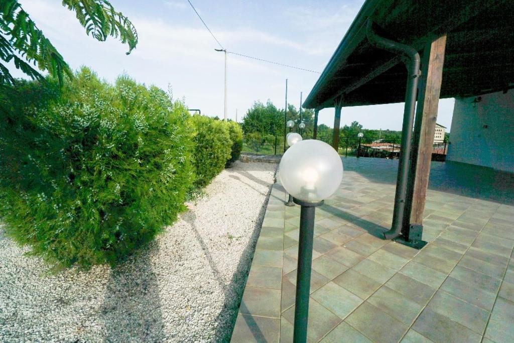 Apartments Mira Savudrija Crveni Vrh Ngoại thất bức ảnh